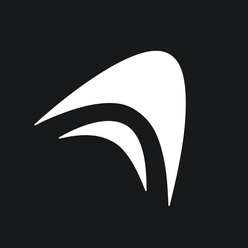 Anything logo