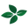 Four-Leaf logo
