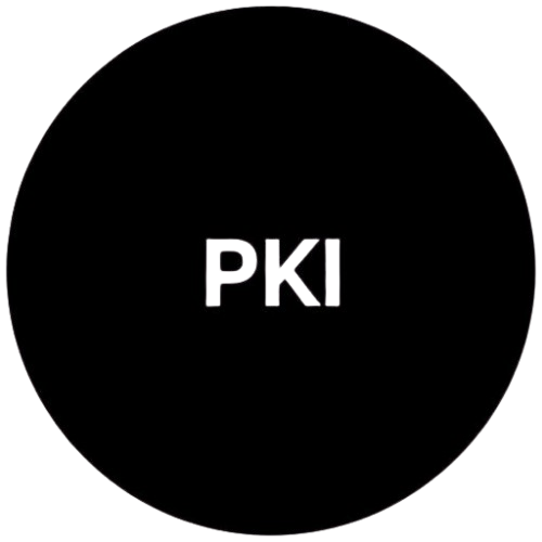 PainkillerIdeas logo
