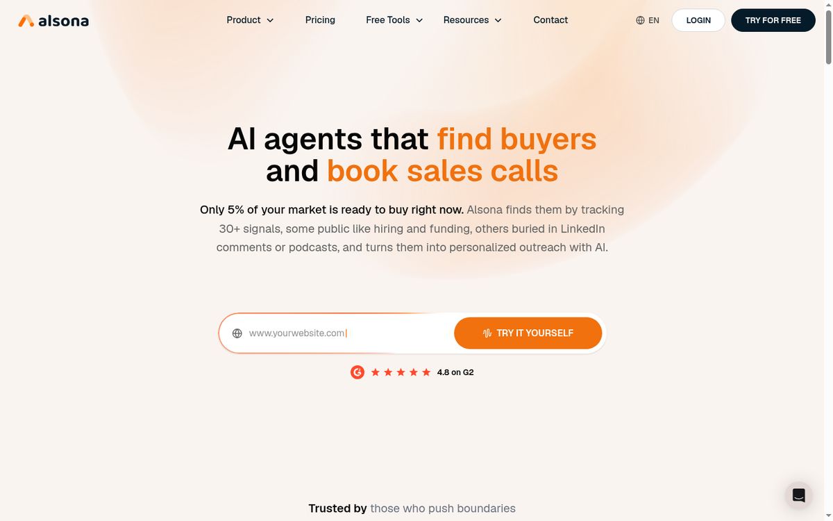 Alsona website screenshot