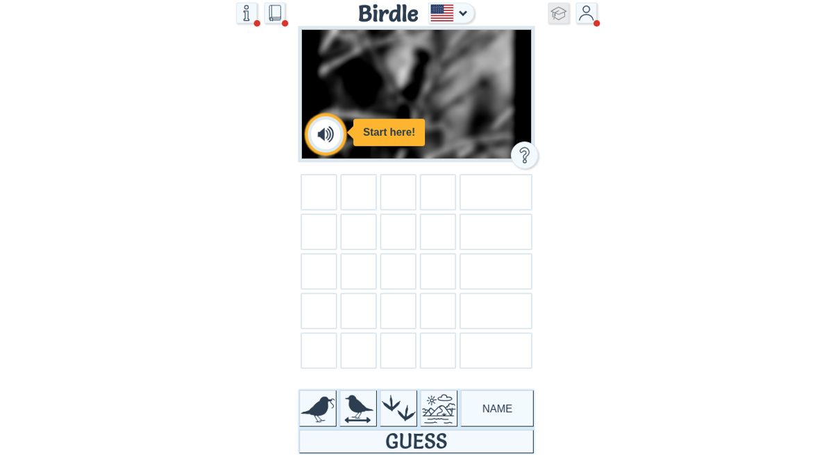 Birdle US website screenshot