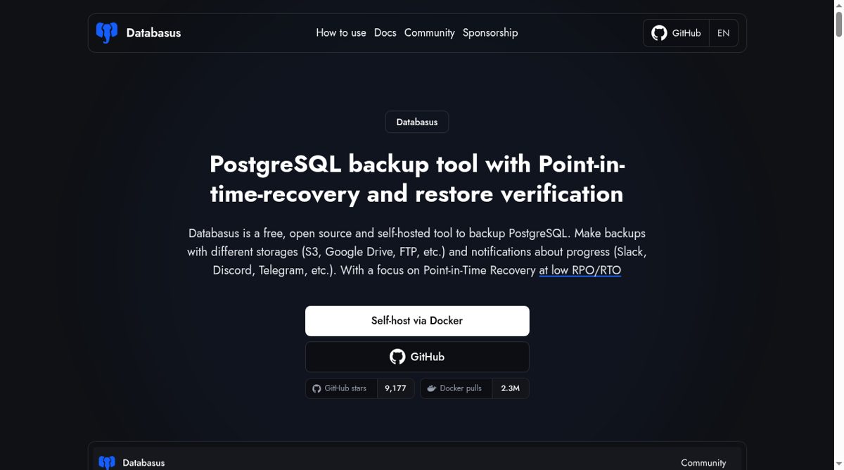 Databasus website screenshot