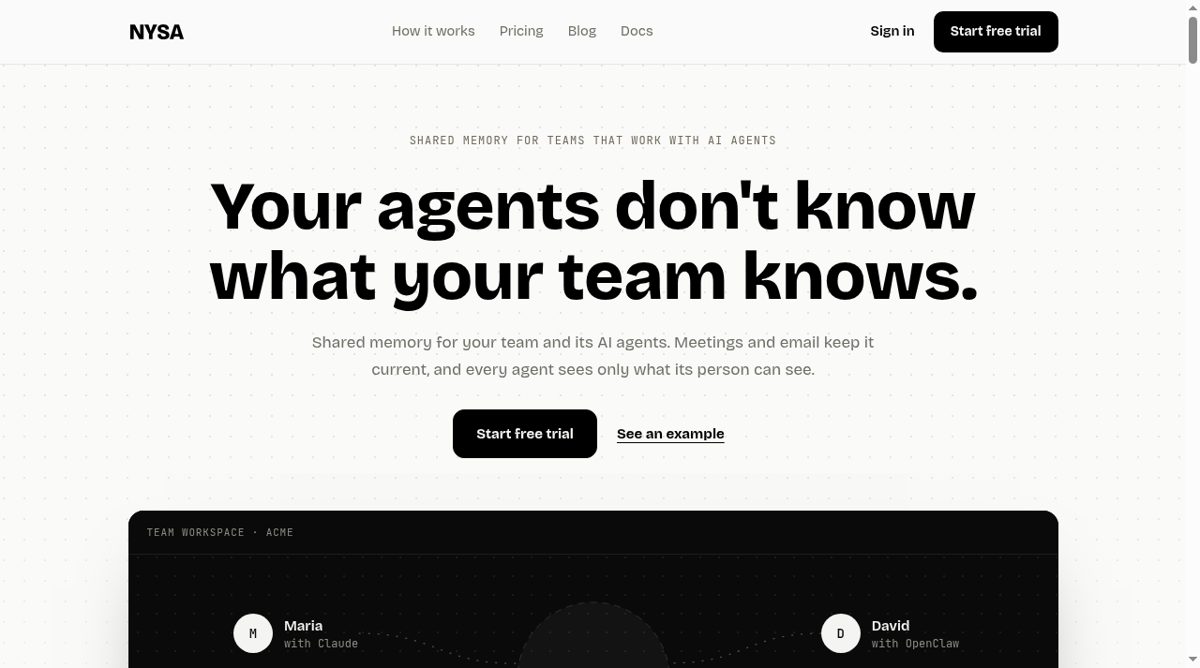 Nysa website screenshot