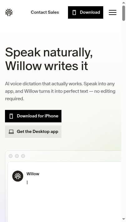 Willow Voice website screenshot